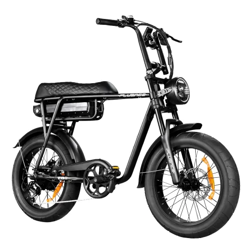 fettes E-Bike EB2 Schwarz