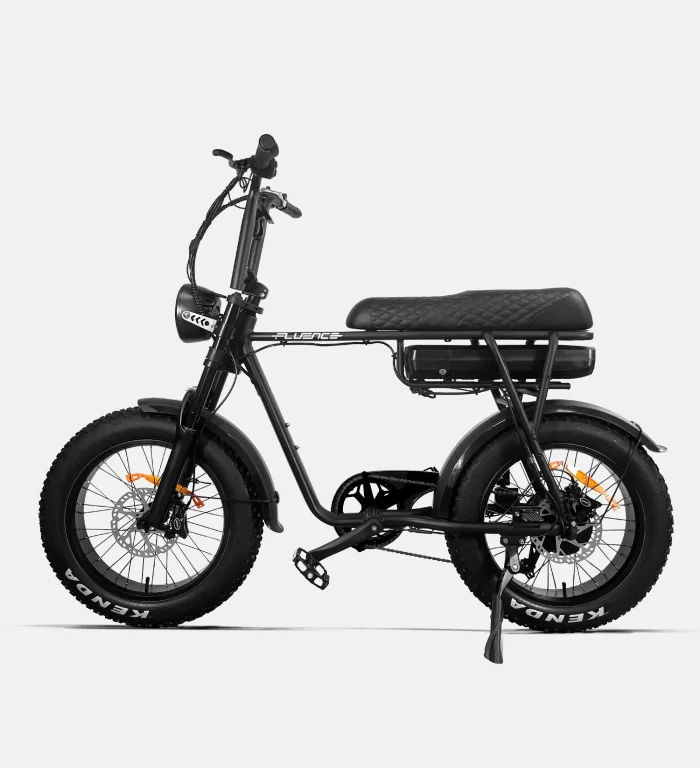 EB2 Fat Electric Bikes Off-road Tires - Image 2