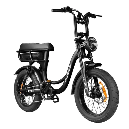fettes E-Bike EB8 Schwarz