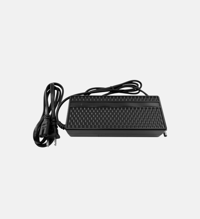 Fluence Electric Bike Charger