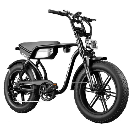 EB19 bici grassa