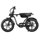 Fluence EB19 Fatbike