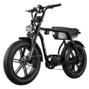 Fluence EB19 Fatbike