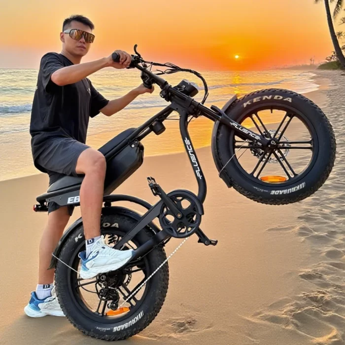 Fluence EB19 Fatbike - Bild 2