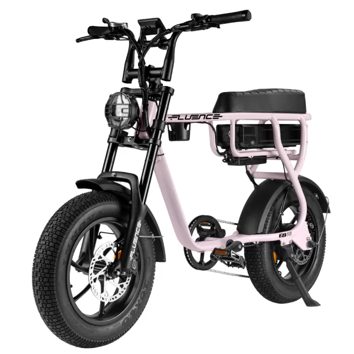 Fluence EB16 Fatbike - Image 3
