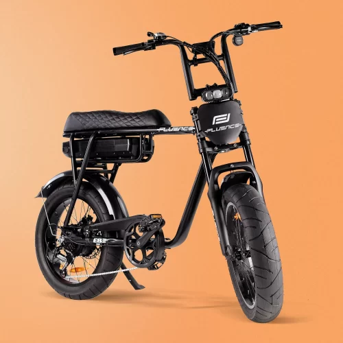 FL Fluence EB2 Ultra Fatbike